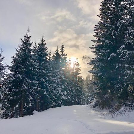 Almland Huette Villa Pusterwald Luaran gambar