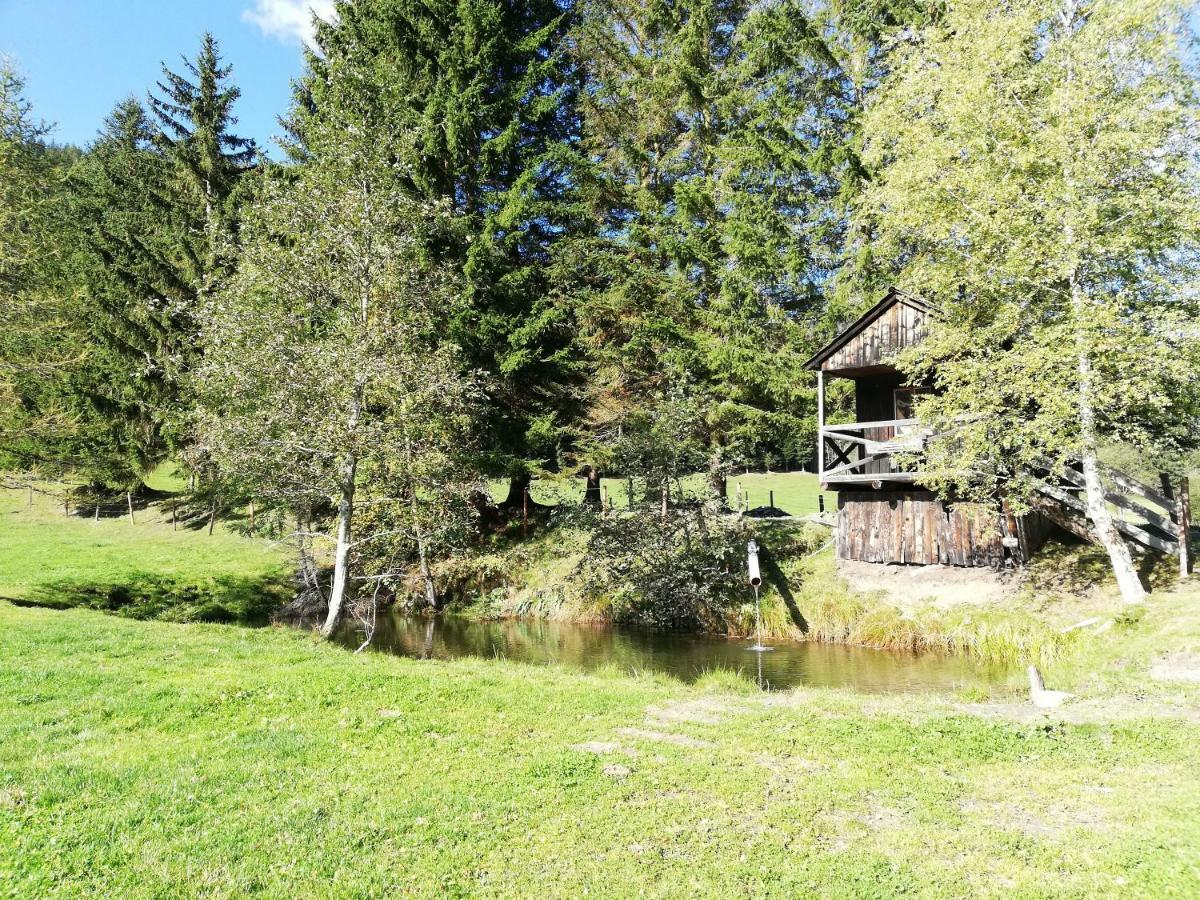 Almland Huette Villa Pusterwald Luaran gambar